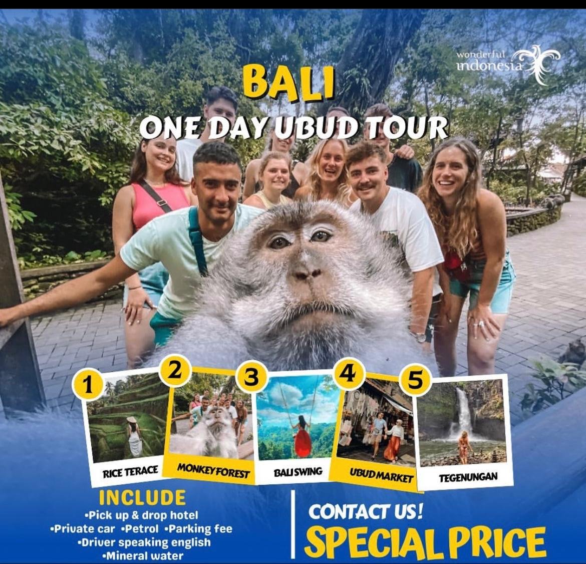 WhatsApp Image 2025-04-18 at 12.16.33 (4)