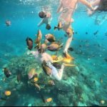 WhatsApp Image 2025-05-01 at 14.59.08 (1)